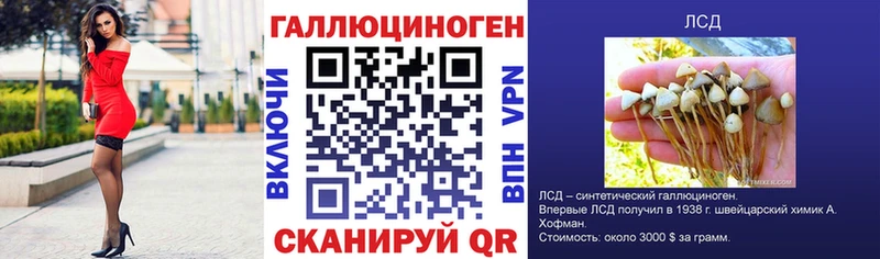 даркнет сайт Беломорск маркетплейс состав Псилоцибиновые грибы мицелий